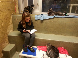 Illustration for article titled Kitties. Books. Kitties With Books, and Also Children.